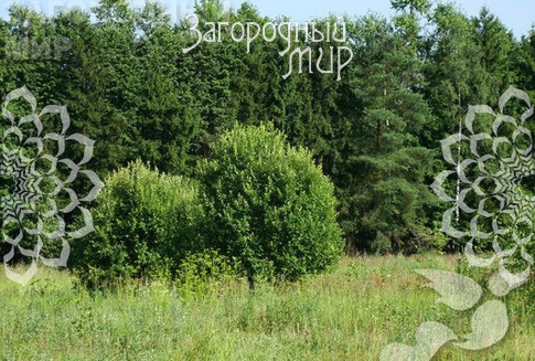 Космодемьянский