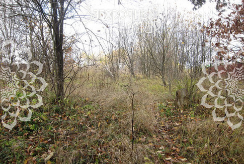 Петровское