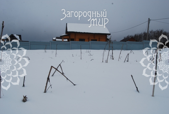 Филимоново