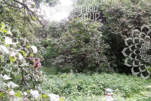 Котельники