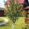  260 ., 2011 ., 2 ,  