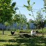  187 ., 2007 ., 2 ,  