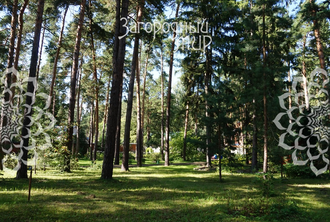 Участок на продажу в Малаховке, Калинина/Республиканская, д.81 фото №8