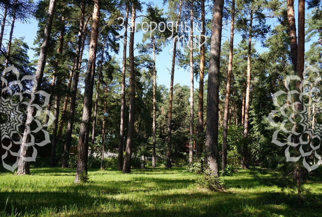 Участок на продажу в Малаховке, Калинина/Республиканская, д.81 фото №6