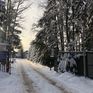  , 30 , ,  ,  