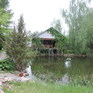  370 ., 2001 ., 3 ,  