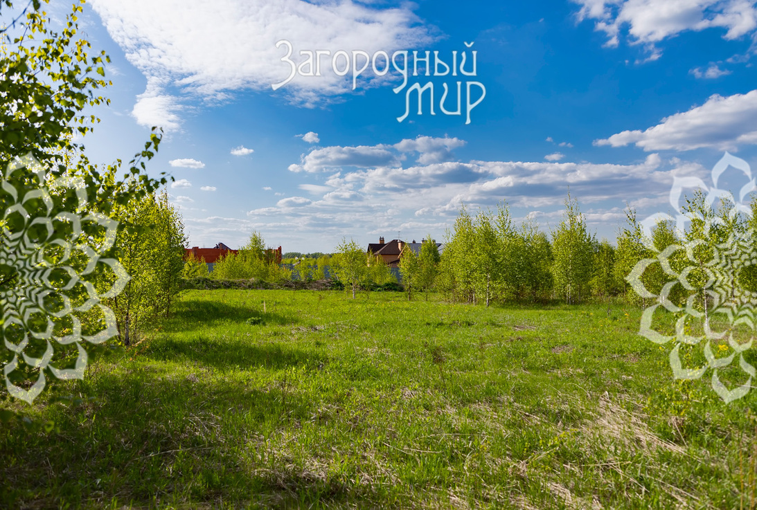 ������� , 6 �����, ��������, ��� ���, ��������� �����