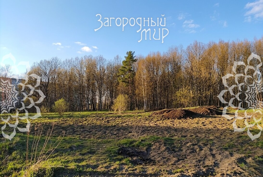 ������� , 12 �����, �� ��������, ��� �����������, ��������� �����