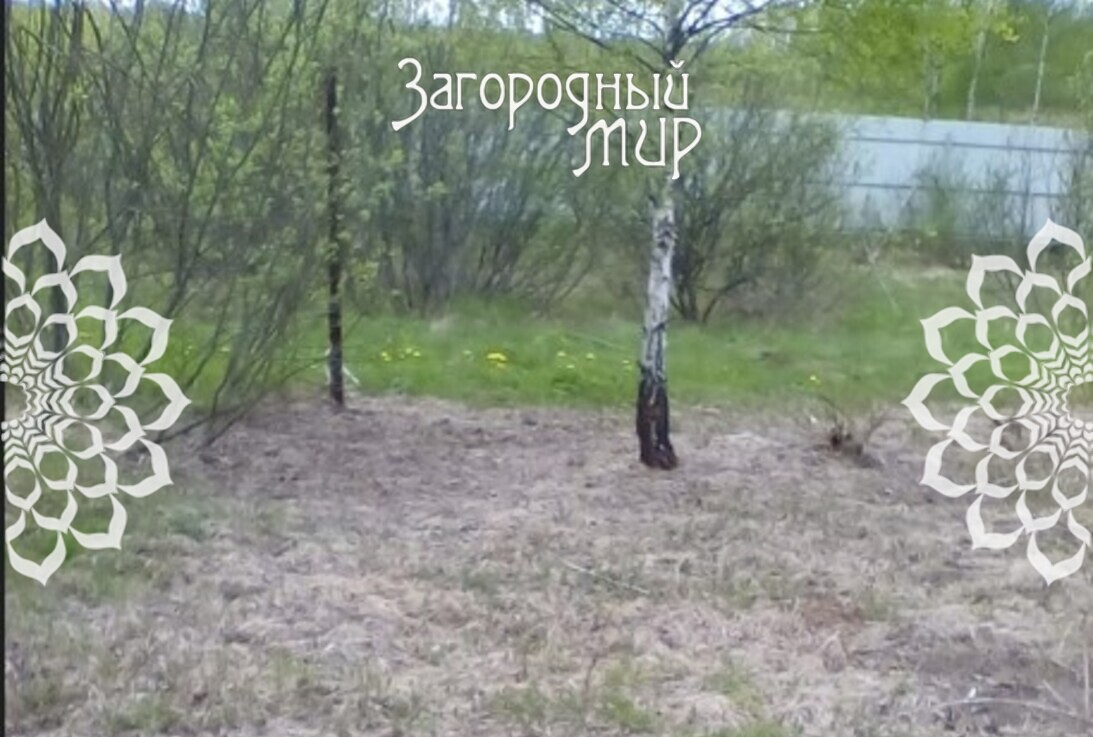 ������� , 20 �����, �� ��������, ��� �����������, ����������� �����