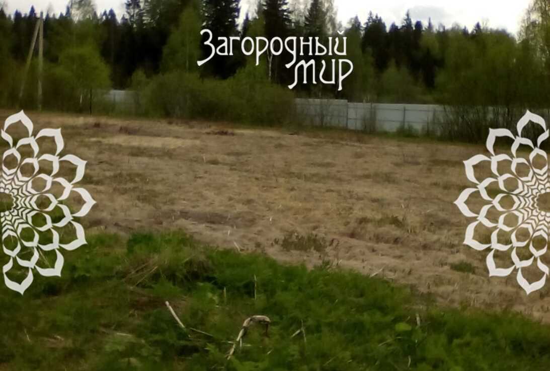 ������� , 10 �����, �� ��������, ��� �����������, ����������� �����