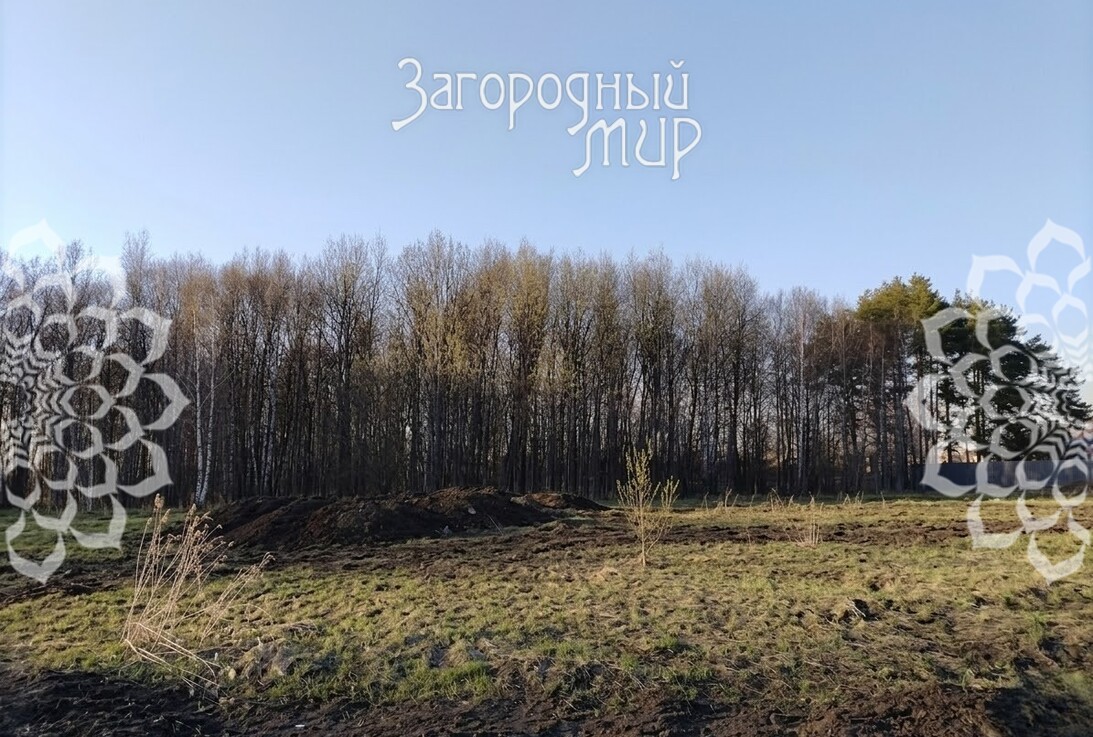 ������� , 14 �����, �� ��������, ��� �����������, ��������� �����