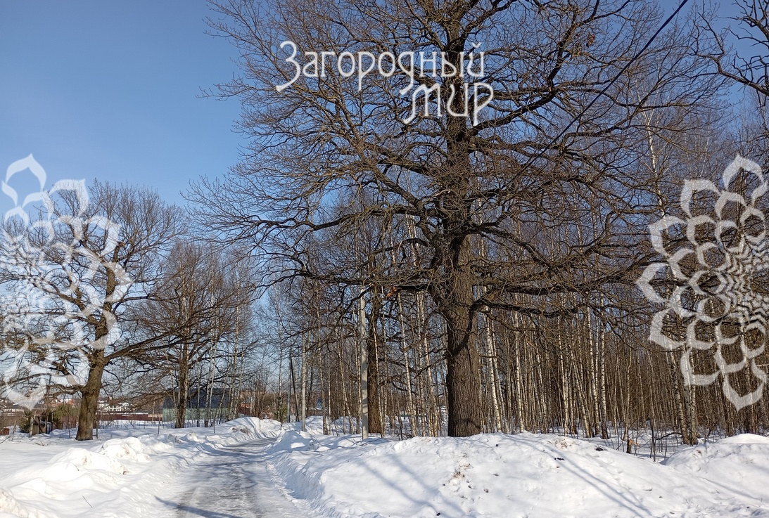 Участок , 30 соток, не огорожен, для ИЖС, Горьковское шоссе, Ногинск Участок , 30 соток, не огорожен, для ИЖС, Горьковское шоссе