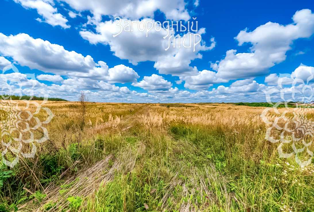 ������� , 104 �����, ��������, ��� ���, ��������� �����