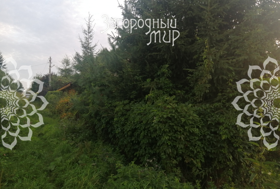 Участок на продажу в Троицке фото №4