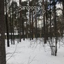 275 ., 2011 ., 3 ,  