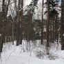  275 ., 2011 ., 3 ,  
