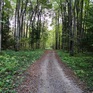  , 14 , ,  ,  