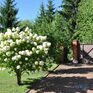  165 ., 2005 ., 2 ,  