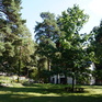  , 56 , ,  ,  
