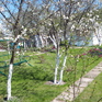  55 ., 2000 ., 2 ,  
