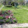  55 ., 2000 ., 2 ,  