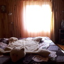  55 ., 2000 ., 2 ,  