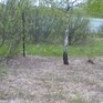  , 10 ,  ,  ,  