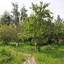  343 ., 2008 ., 3 ,  