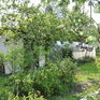  115 ., 2008 ., 2 ,  