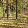  392 ., 2005 ., 3 ,  