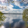 ������� , 40 �����, ��������, ��� ���, ��������� �����