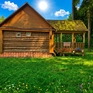 ��� 137 ��.�, 1995 �., 2 �����, ��������� �����
